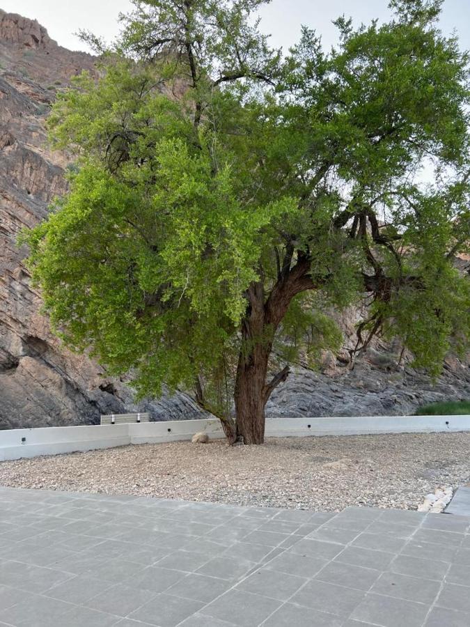 Wadi Al Arbeieen * Firq