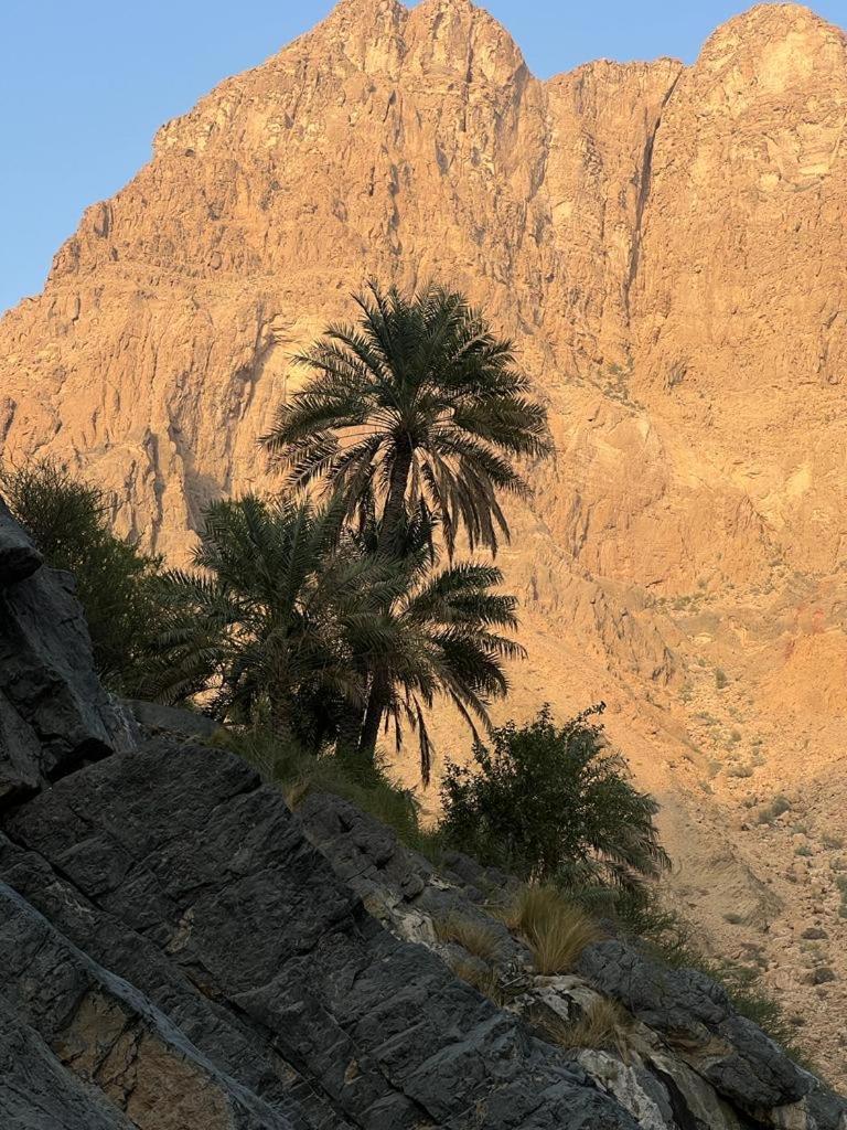 Wadi Al Arbeieen Hotel