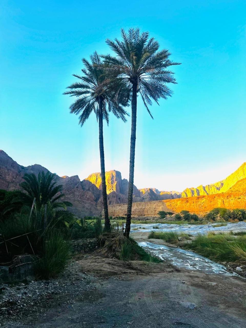 Wadi Al Arbeieen *